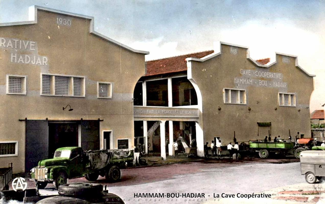 Hammam-Bou-Hadjar - La Cave Cooperative.jpg